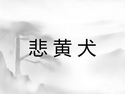 悲黄犬