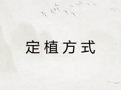 定植方式