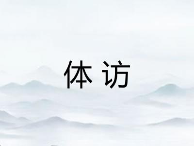 体访