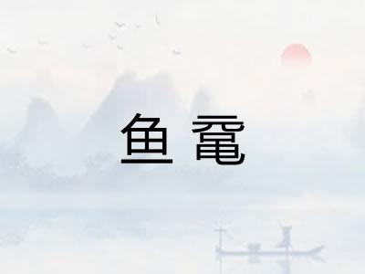 鱼鼋