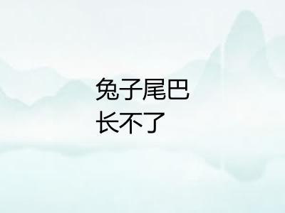 兔子尾巴长不了