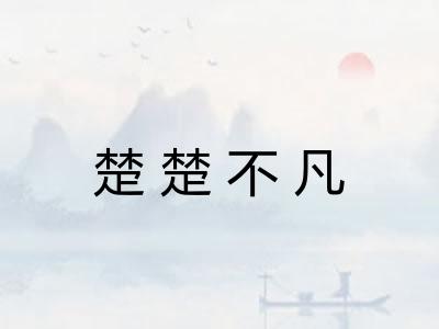楚楚不凡
