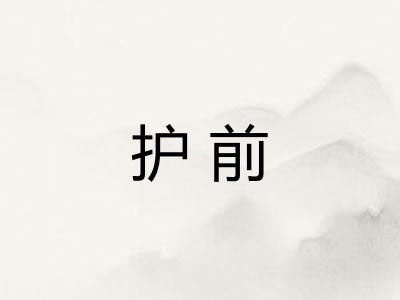 护前