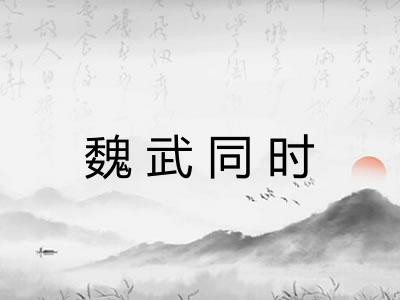 魏武同时
