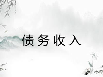 债务收入