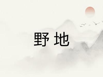 野地