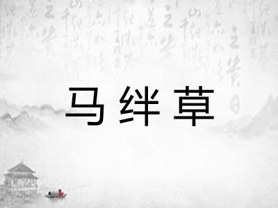 马绊草