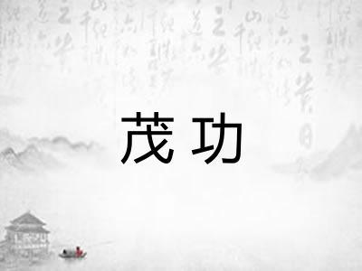 茂功