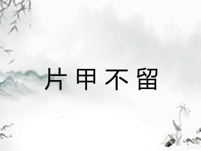 片甲不留