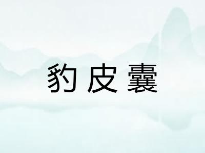豹皮囊
