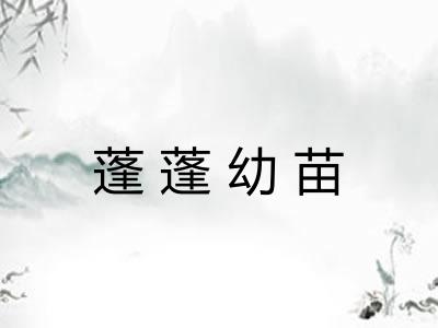 蓬蓬幼苗