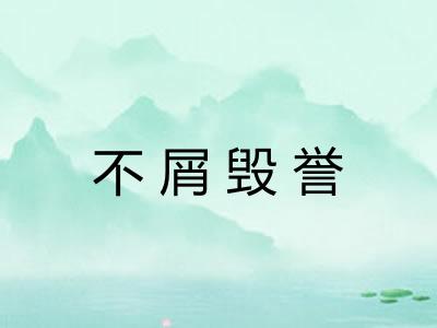 不屑毁誉