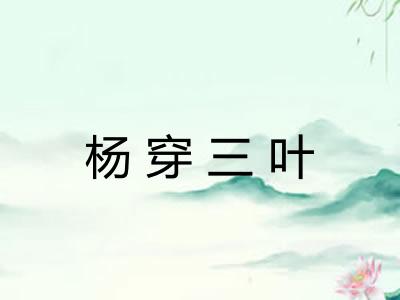 杨穿三叶