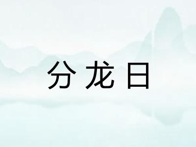 分龙日