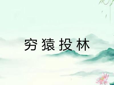 穷猿投林