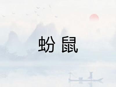 蚡鼠