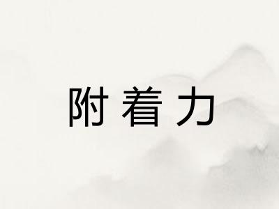 附着力