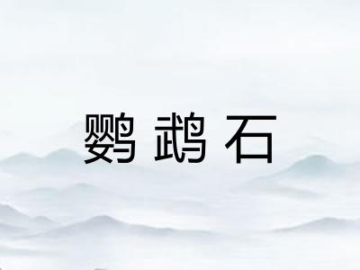 鹦鹉石
