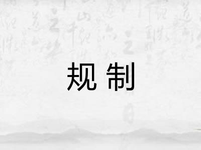规制