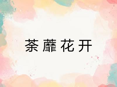 荼蘼花开
