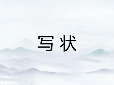 写状