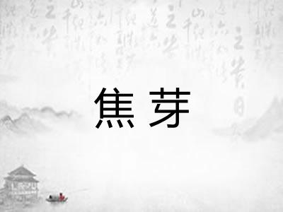 焦芽