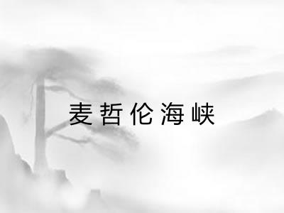 麦哲伦海峡