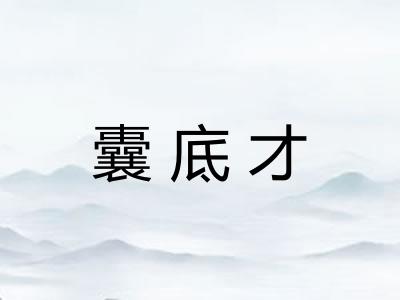 囊底才