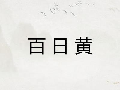 百日黄