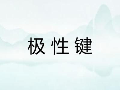 极性键