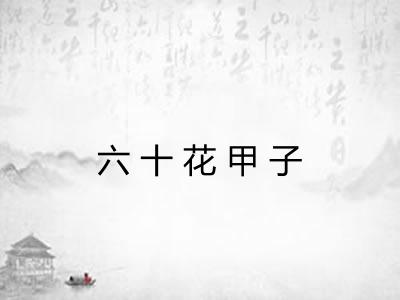 六十花甲子