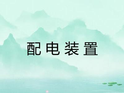配电装置