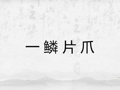 一鳞片爪