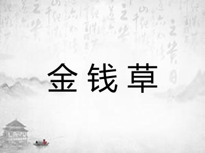 金钱草