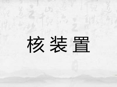 核装置
