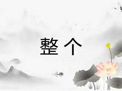 整个