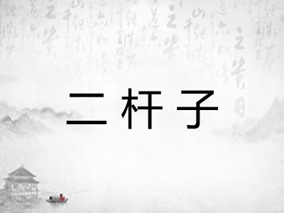 二杆子