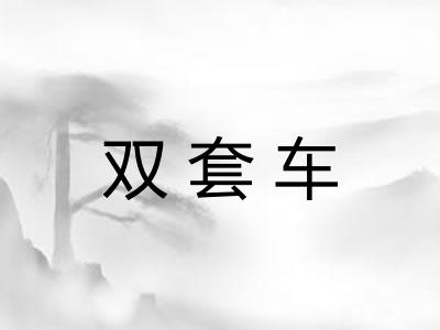 双套车