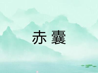 赤囊