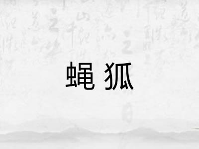 蝇狐