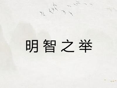 明智之举