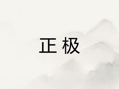 正极