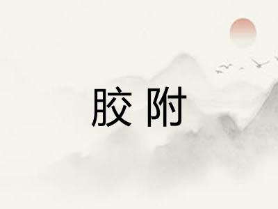 胶附