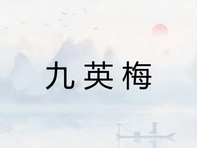 九英梅
