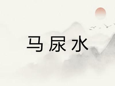 马尿水
