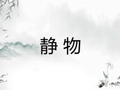 静物