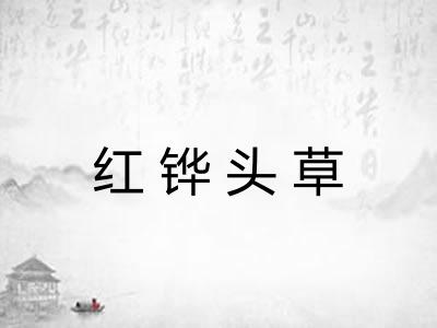红铧头草