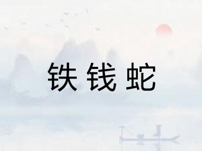 铁钱蛇
