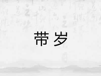 带岁
