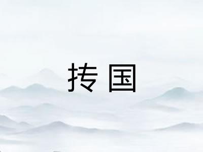 抟国